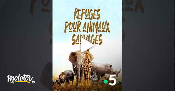 Refuges pour animaux sauvages en Streaming & Replay sur