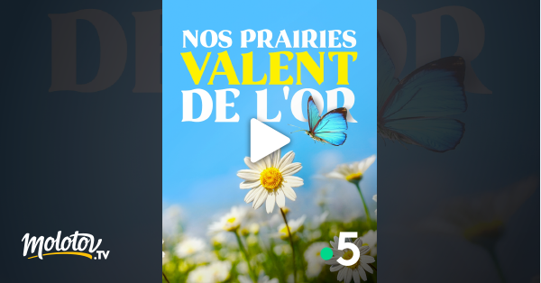 2020 Nos Prairies Valent De L'or