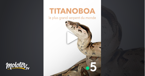Le Serpent En Streaming Titanoboa, le plus grand serpent du monde en Streaming - Molotov.tv