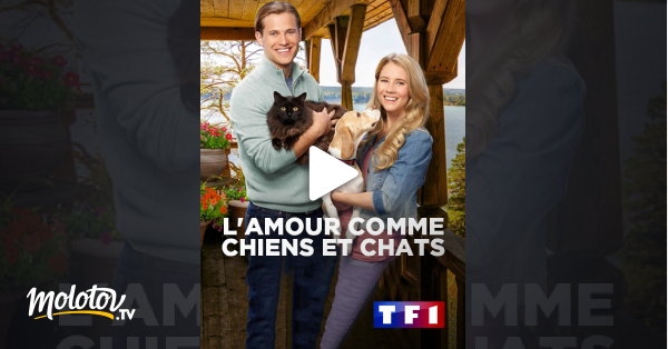 Lamour Comme Chiens Et Chats En Streaming Molotovtv