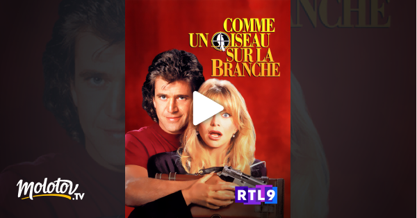 Comme Un Oiseau Sur La Branche Streaming Comme un oiseau sur la branche en Streaming - Molotov.tv