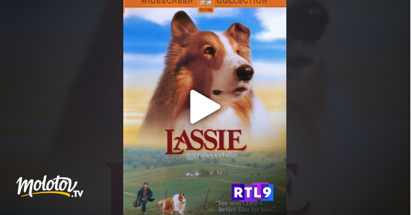 Les Nouvelles Aventures De Lassie En Streaming Molotov Tv