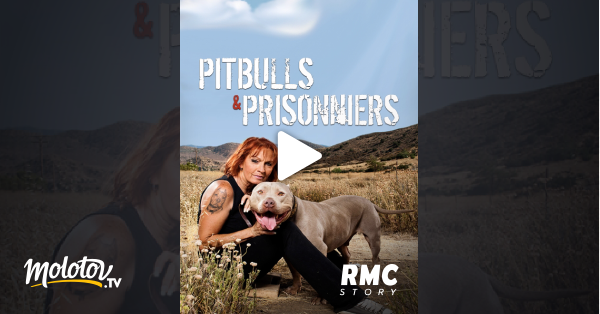 Pitbulls Et Prisonniers En Streaming Gratuit