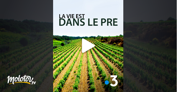 La Vie Est Dans Le Pré Streaming La vie est dans le pré en Streaming - Molotov.tv