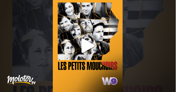 Les Petits Mouchoirs En Streaming Molotov Tv