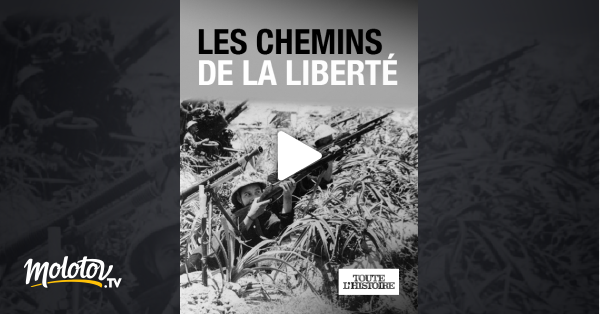 Les Chemins De La Liberté Streaming Les chemins de la liberté en Streaming - Molotov.tv