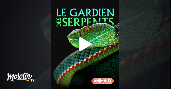 Le Serpent En Streaming Le gardien des serpents en Streaming sur Animaux - Molotov.tv