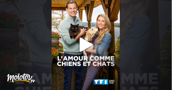 L Amour Comme Chiens Et Chats En Streaming Molotov Tv