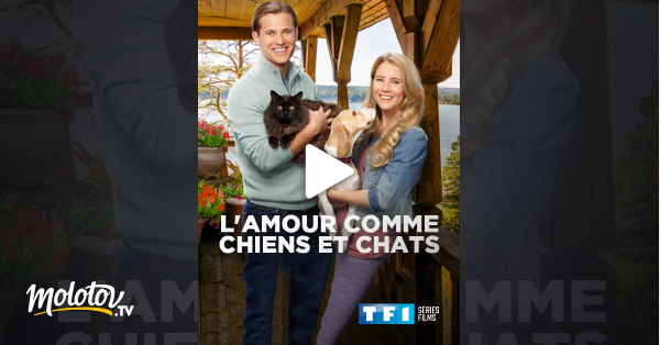 Comme Chien Et Chat Film Complet En Francais