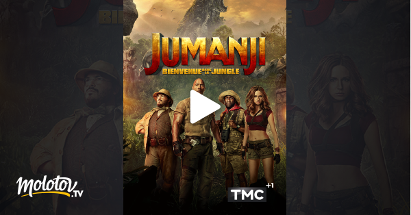 Jumanji 2 best sale streaming fr