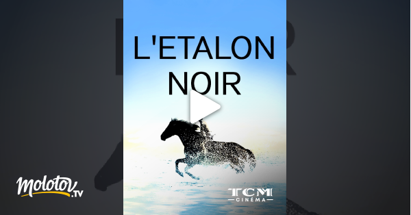 L étalon Noir Streaming L'étalon noir en Streaming - Molotov.tv