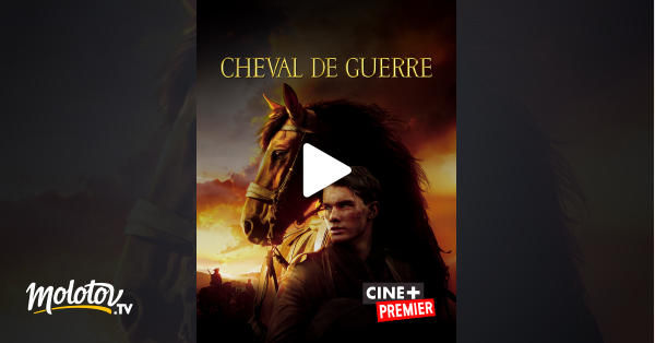 Film Cheval De Guerre Streaming Cheval de guerre en Streaming sur Ciné+ Premier - Molotov.tv
