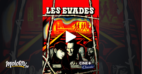 Les Evades Streaming Vf Les évadés en Streaming - Molotov.tv