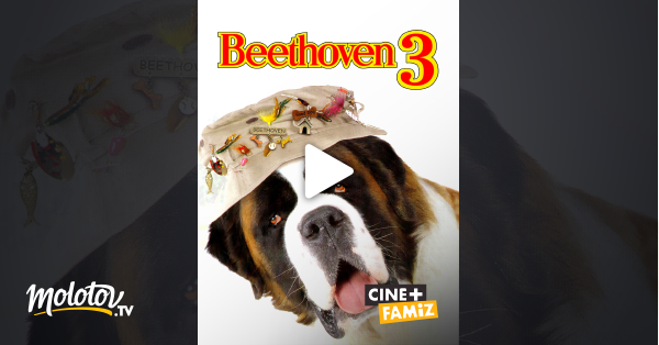 Beethoven 3 Streaming Vf Beethoven 3 en Streaming - Molotov.tv