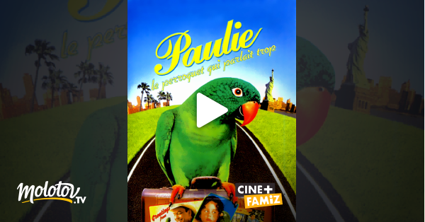Paulie Le Perroquet Qui Parlait Trop Streaming Paulie, le perroquet qui parlait trop en Streaming - Molotov.tv