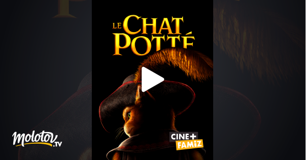 Le Chat Potte En Streaming Molotov Tv