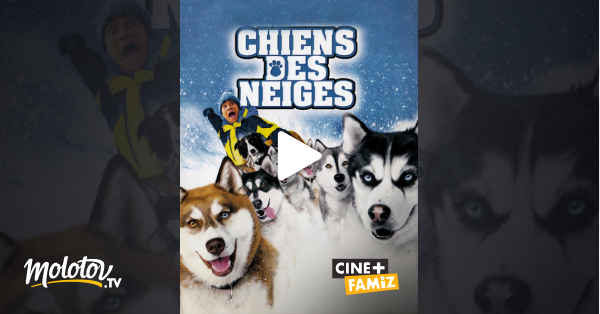 Chien Des Neige Streaming Vf Chiens des neiges en Streaming - Molotov.tv